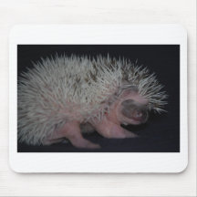Hedgehog Baby Mousepads