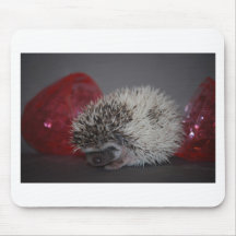 Hedgehog Baby with Easter Egg Mousepad