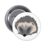 Hedgehog Badge Pinback Buttons