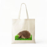 hedgehog bags