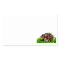 hedgehog modèle de carte de visite