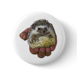 Hedgehog Button