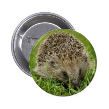 Hedgehog Button Badge
