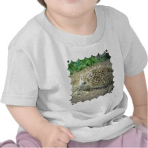 Hedgehog Care  Baby T-Shirt