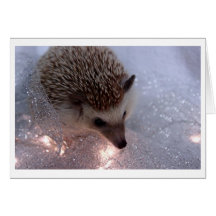 Hedgehog Christmas Card