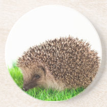 hedgehog, dessous de verre