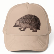 Hedgehog Hat