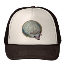 Hedgehog Hat