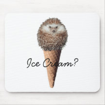 Hedgehog Ice Cream Mouse Mats