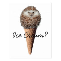 Hedgehog Ice Cream Post Card