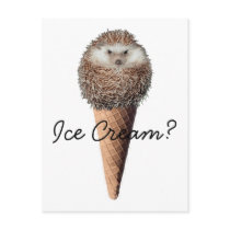 Hedgehog Ice Cream Post Card