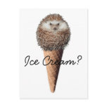 Hedgehog Ice Cream postcards