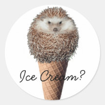 Hedgehog Ice Cream Stickers