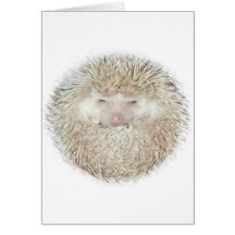 Hedgehog in a Ball Greeting Cards