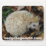 hedgehog in leaves mousepad