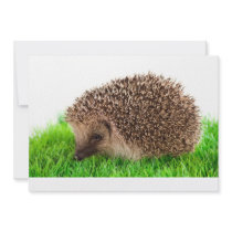 hedgehog invitations personnalisées