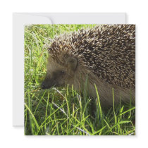 Hedgehog Invitations