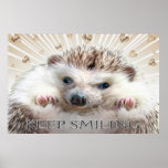 HEDGEHOG KEEP SMILING POSTER posters
