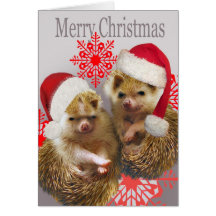 Hedgehog Merry Christmas Cards