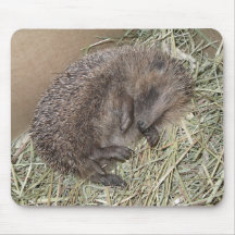 Hedgehog Mousepad