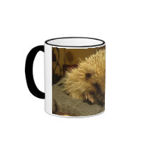 hedgehog mug