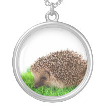 hedgehog, collier personnalisé