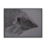 Hedgehog Postcard
