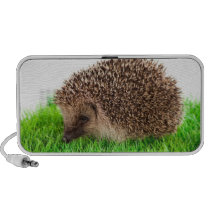 hedgehog, haut-parleurs ipod