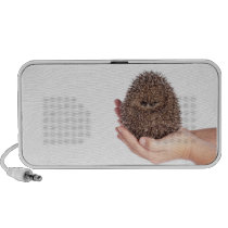 hedgehog haut-parleur