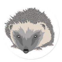 Hedgehog Sticker
