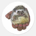 Hedgehog Sticker
