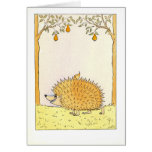 "Hedgehog - Vintage Illustration Cards