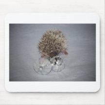 Hedgehog with Ornaments Mouse Pad