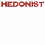 Hedonist Embroidered T-shirt embroidered shirts