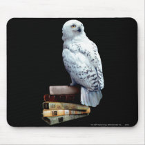 Hedwig on books mousepad