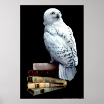 Hedwig on books posters