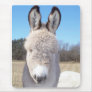 HeeHaw Mouse Pad