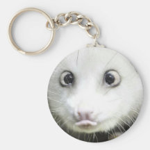 Heidi The Cross Eyed Opossum Keychains