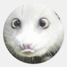 Heidi The Cross Eyed Opossum Round Stickers
