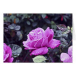 Heirloom Greeting Cards
