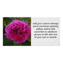 Heirloom Rose Photo Card