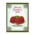 Heirloom Strawberry Seeds postcards