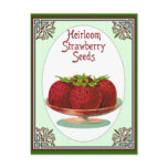 Heirloom Strawberry Seeds postcards