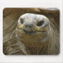 Helaine's Aldabra Tortoise Mousepad