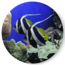 Helaine's Angel Fish Pins