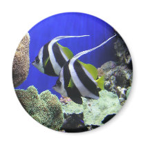 Helaine's Angel Fish Fridge Magnet