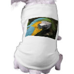 Helaine's Blue Orange Parrot Pet Clothes