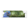 Helaine's Blue Parrot Bumper Sticker
