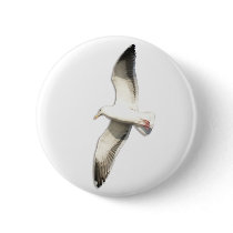 Helaine's Soaring Seagull
