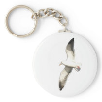 Helaine's Soaring Seagull